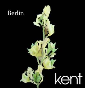 berlin-demo-kopia.jpg