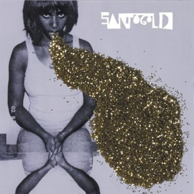 santogold-cover