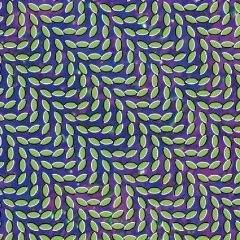 61dswyvbxil_sl500_aa240_