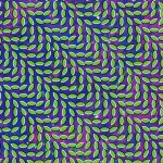 animal_collective_merriweather animal_collective_merriweather