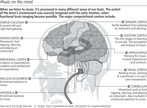 20n_music_brain_500big 20n_music_brain_500big