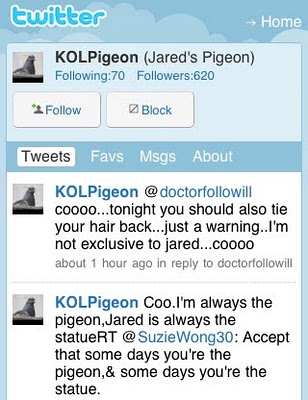 KOLPigeon