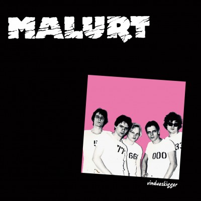 malurt_vindueskigger_book-1
